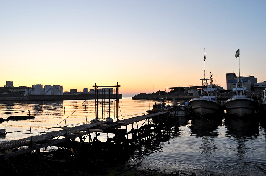 久しぶりの長田漁港・・・朝撮影_d0148541_19451944.jpg