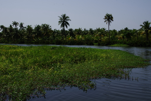 d0185744_1055233.jpg