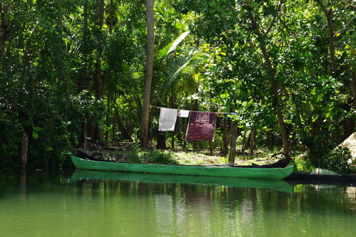 d0185744_1065383.jpg