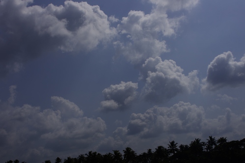 d0185744_9574051.jpg