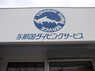 11月 5日 今日の収穫&明日から…_b0158746_17415764.jpg