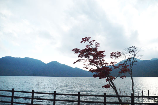 c0093046_17155566.jpg