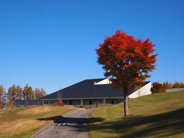 f0224347_1735264.jpg