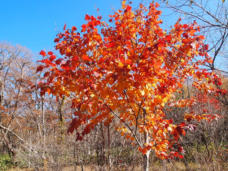f0224347_17353810.jpg