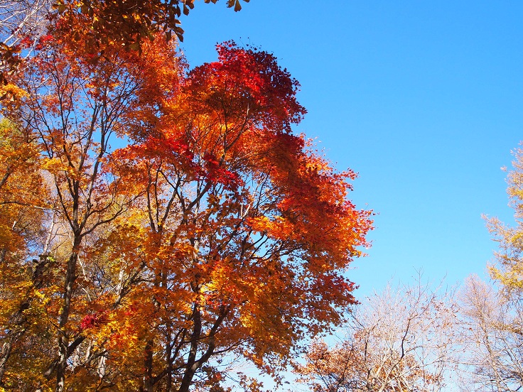 f0224347_1752459.jpg