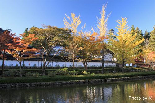 c0127748_225654.jpg
