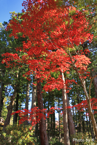 c0127748_23132240.jpg