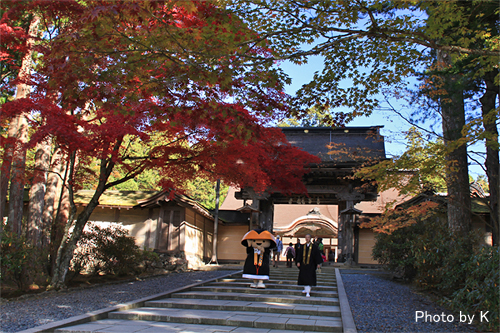 c0127748_23135789.jpg