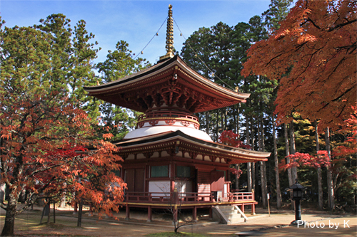 c0127748_2393377.jpg