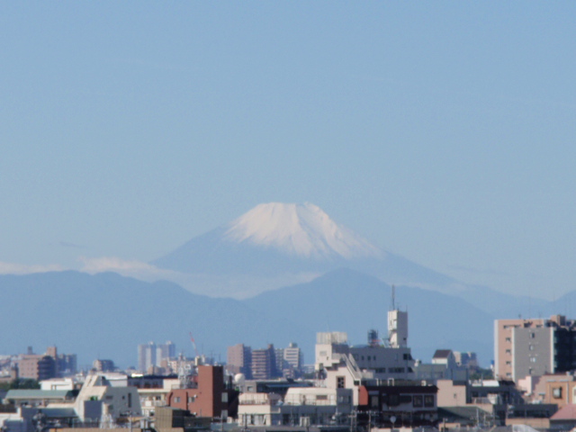 ラ・パレット　「猫展」　のお知らせ_d0078350_1712367.jpg