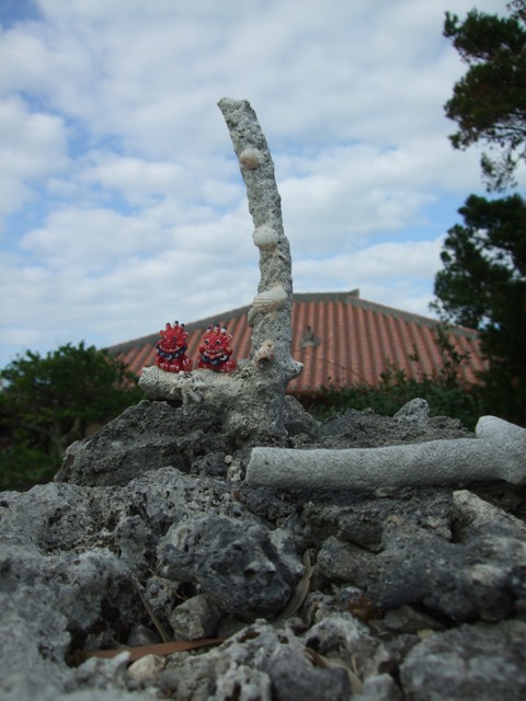 c0111557_1382029.jpg