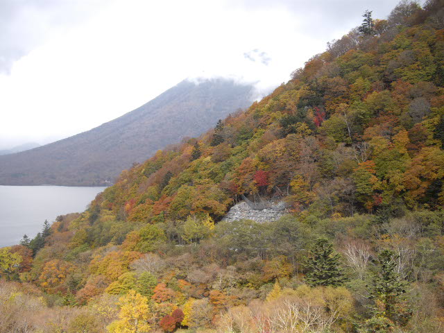 d0116059_1455250.jpg