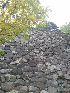 c0115560_20414753.jpg