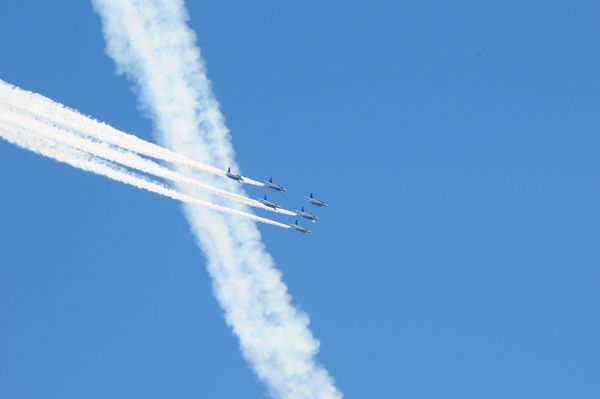c0115660_95881.jpg