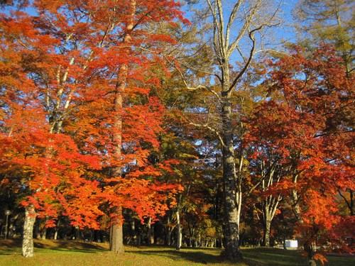 錦秋の軽井沢☆２０１２_f0236260_0285262.jpg