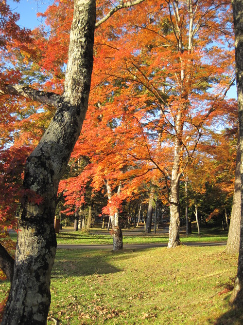 錦秋の軽井沢☆２０１２_f0236260_0292283.jpg