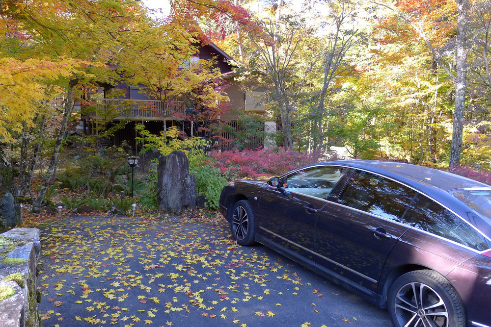 c0084268_84324.jpg