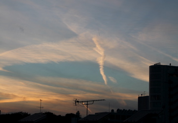 f0054677_826505.jpg