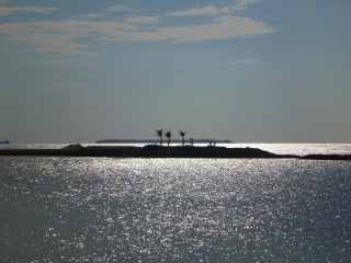 d0240983_2042895.jpg