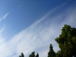 d0240983_2045982.jpg