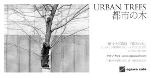 畑文夫写真展「URBAN TREES~都市の木~」_a0116684_16232129.jpg