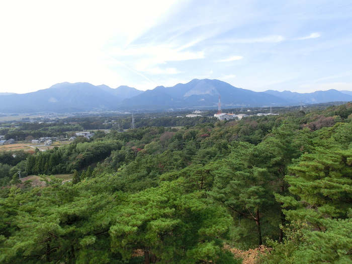 穴場の公園で森林浴ウオーキング_b0099084_10374470.jpg