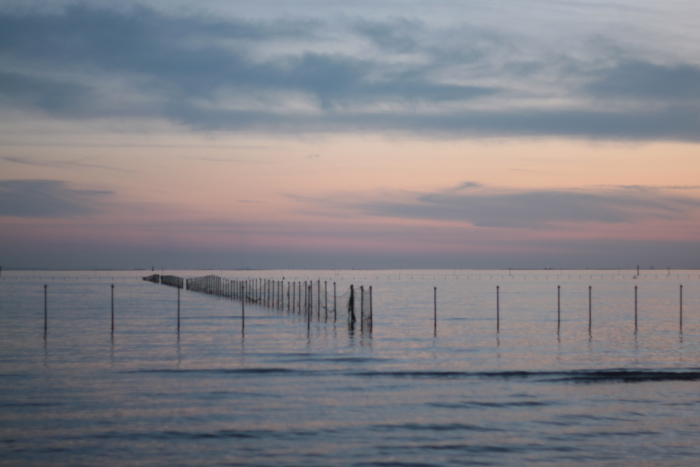 d0164185_2015177.jpg