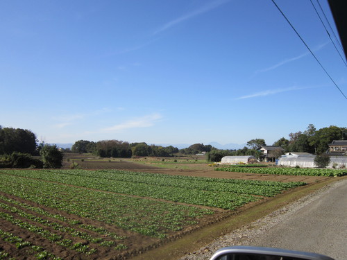 a0240486_982912.jpg