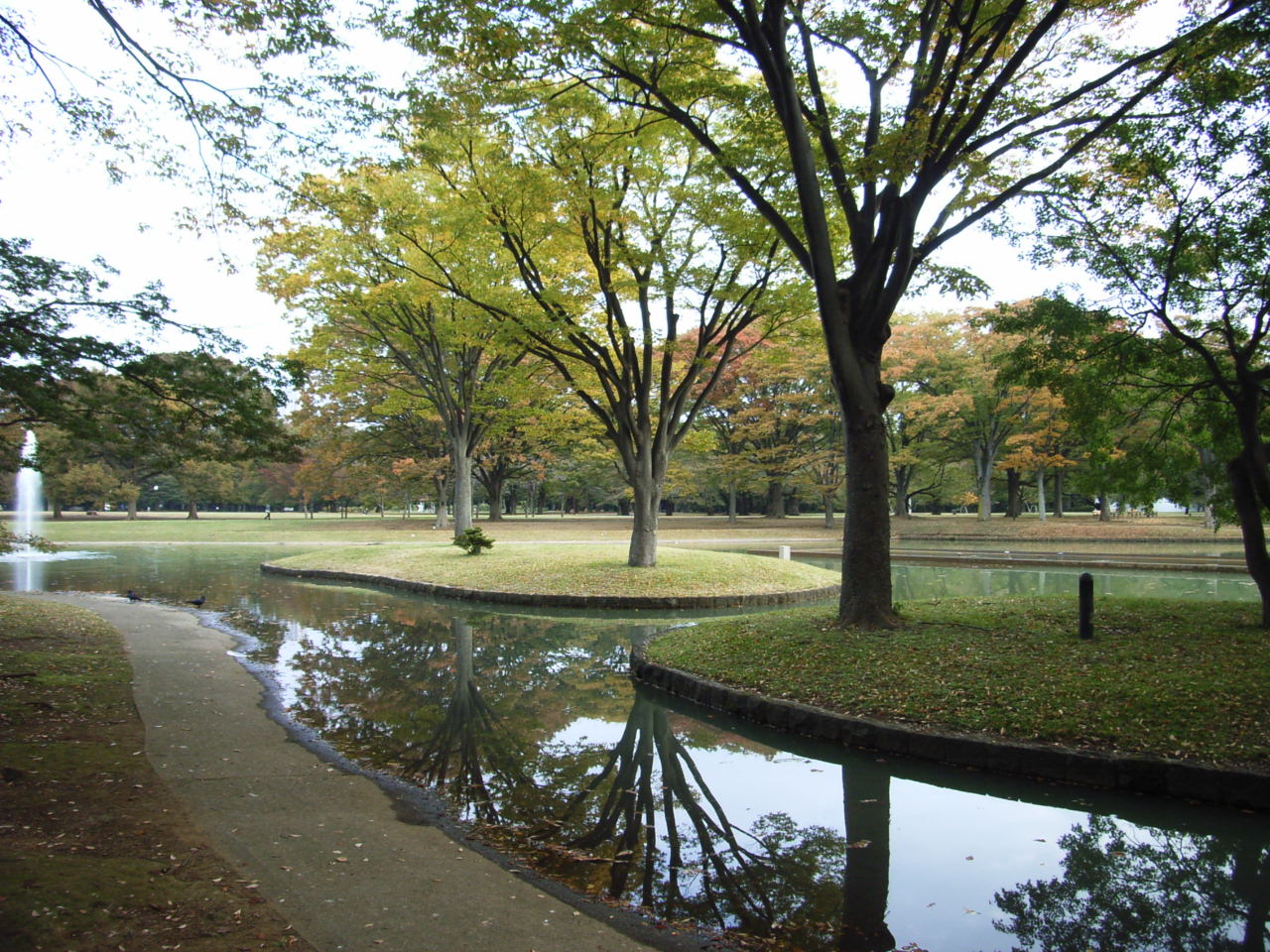 11月5日　代々木公園_e0188287_823153.jpg