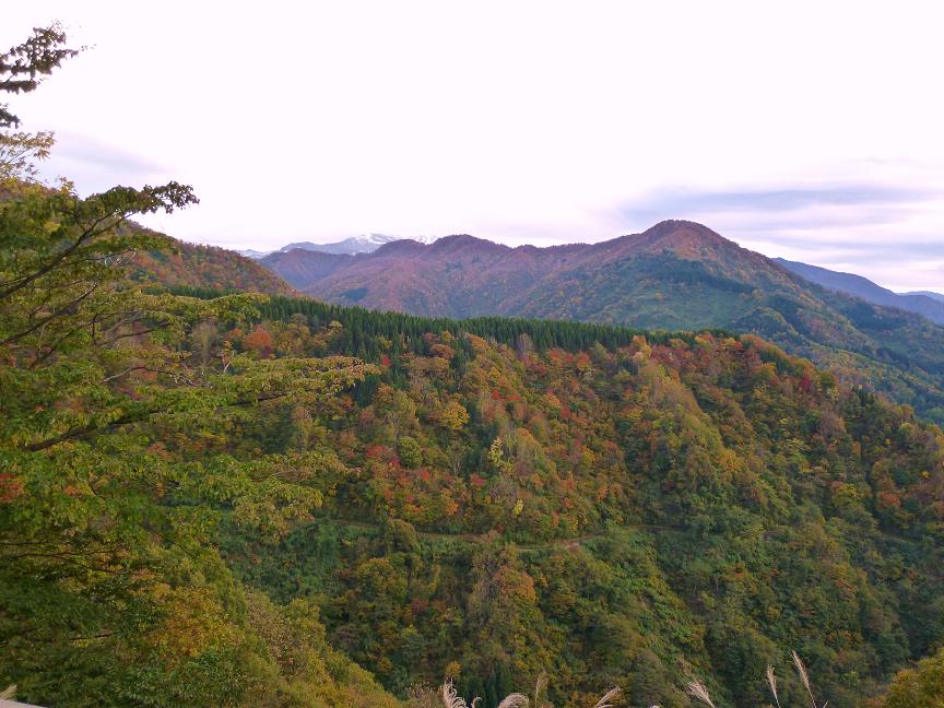 d0182188_19463958.jpg