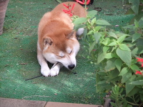 b0230589_12199.jpg