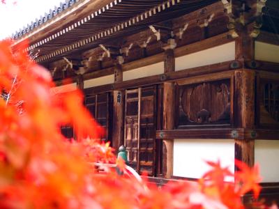 ちょこっと紅葉狩り_c0092689_16482723.jpg