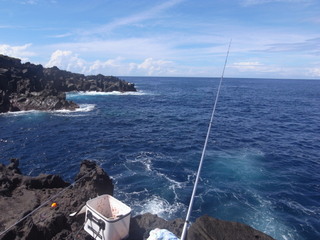 a0137192_16214030.jpg