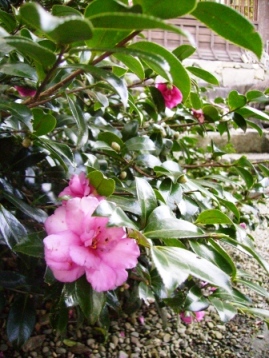 e0280693_1631303.jpg