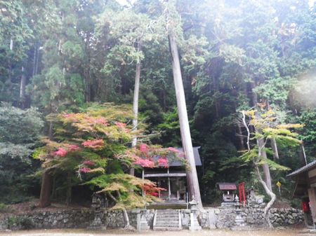 神の気配、女神の薄化粧_d0089494_15151814.jpg