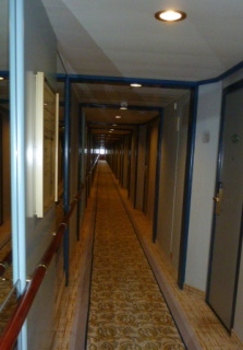 f0166694_22629.jpg