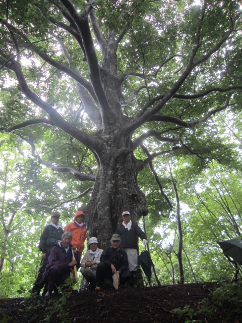 荒山林業の荒山さん急逝_f0117498_17531424.jpg