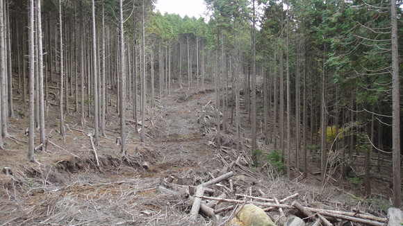 f0036700_12545380.jpg