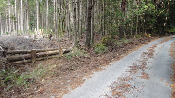 f0036700_1255525.jpg