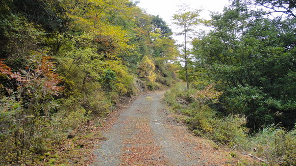 f0036700_1256476.jpg