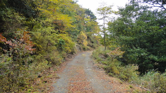 紅葉の霧島連山縦走_f0036700_1256476.jpg