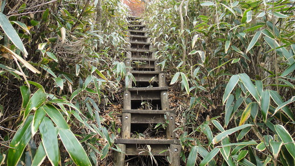 f0036700_12582626.jpg