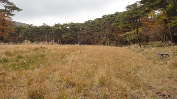 紅葉の霧島連山縦走_f0036700_1301036.jpg