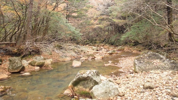 紅葉の霧島連山縦走_f0036700_1302933.jpg