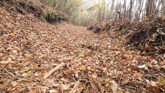 紅葉の霧島連山縦走_f0036700_1304642.jpg