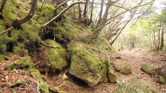 f0036700_1304952.jpg