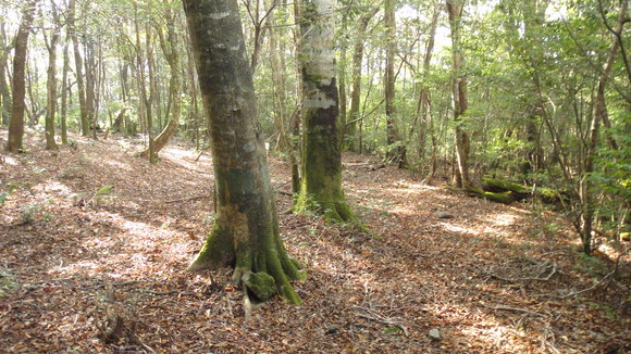 f0036700_13125673.jpg