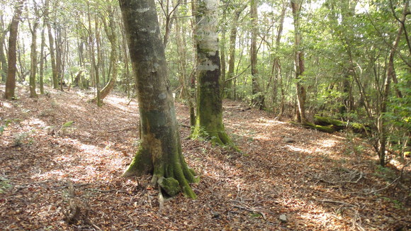 紅葉の霧島連山縦走_f0036700_13125673.jpg