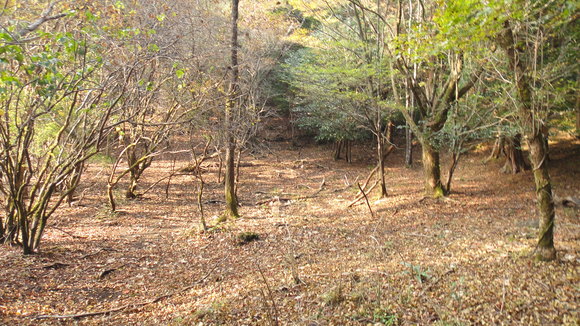 f0036700_1313798.jpg