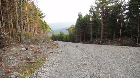 f0036700_13203265.jpg